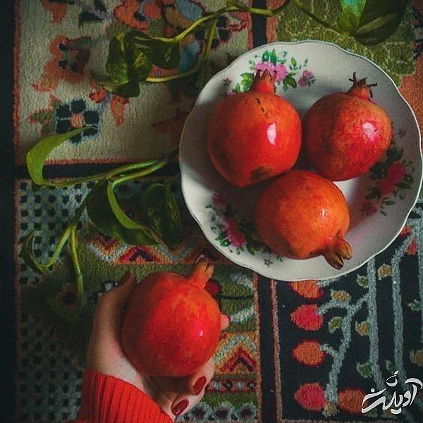 عکس پروفایل یلدا عکس شب یلدا با کیفیت بالا عکس شب یلدا خانوادگی عکس شب یلدا دونفره عکس برای شب یلدا دخترانه عکس شب یلدا 1402 عکس شب یلدا عاشقانه عکس پروفایل یلدا u;s \v,thdg dgnh